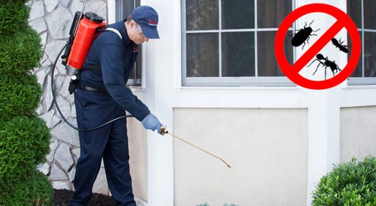 Şalpazarı Gümüşkurt İlaçlama böcek ilaçlama ve haşere kontrolü — ilaclama-tr.com